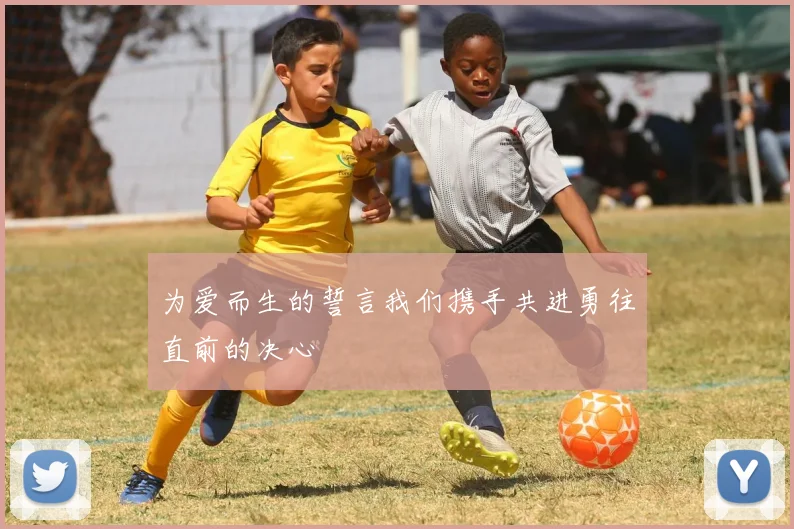 为爱而生的誓言我们携手共进勇往直前的决心