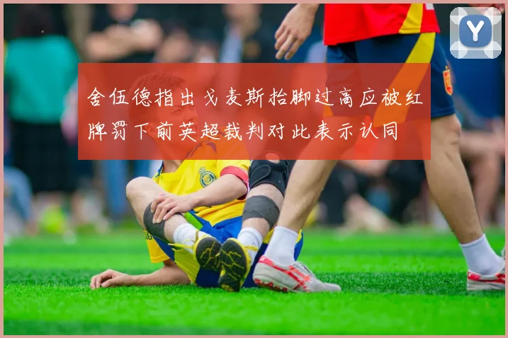 舍伍德指出戈麦斯抬脚过高应被红牌罚下前英超裁判对此表示认同