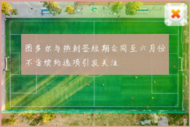 图多尔与热刺签短期合同至六月份不含续约选项引发关注