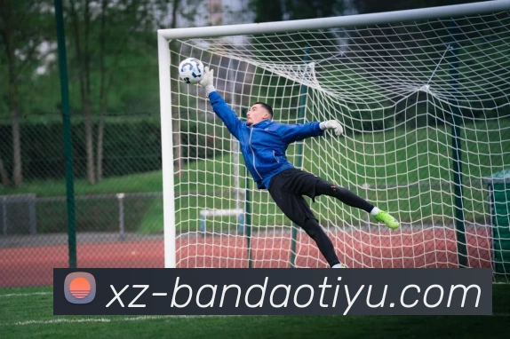 App Interface Preview