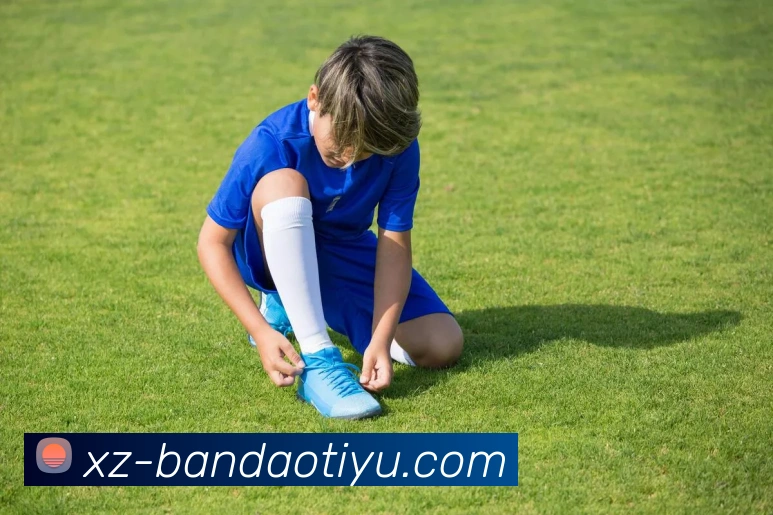 半岛体育APP 封面图